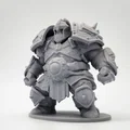 Mô hình Dwarf chiến binh giáp trụ hạng nặng cho game DND - Thumbnail 5