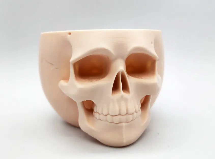 Bát Đầu Lâu Cỡ Rộng (Sức Chứa Lớn) - Image 2