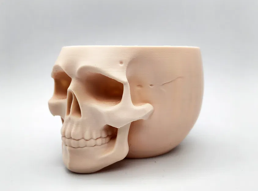 Bát Đầu Lâu Cỡ Rộng (Sức Chứa Lớn) - Image 4