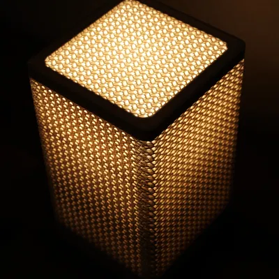 Chụp đèn Gyroid (Gyroid Lampshade)