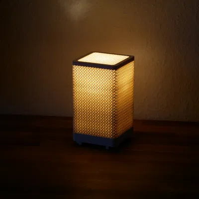 Chụp đèn Gyroid (Gyroid Lampshade)