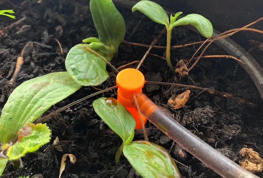 Vòi phun nước cho luống rau (Raised Bed Sprinkler) - Image 2