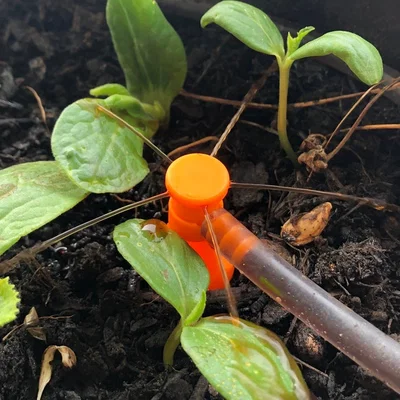 Vòi phun nước cho luống rau (Raised Bed Sprinkler)