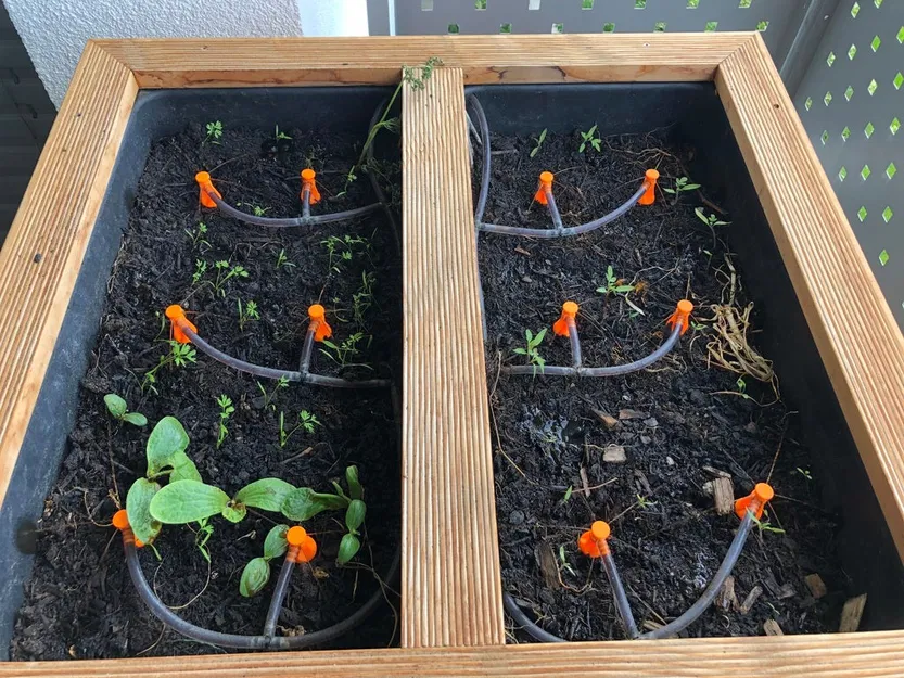 Vòi phun nước cho luống rau (Raised Bed Sprinkler) - Image 3