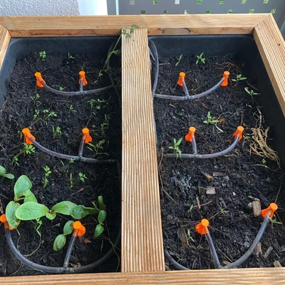 Vòi phun nước cho luống rau (Raised Bed Sprinkler)