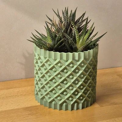 Chậu cây cảnh họa tiết hình học 3D - Mẫu Plant Pot #1