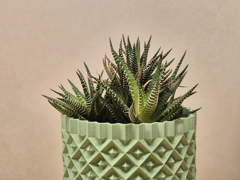 Chậu cây cảnh họa tiết hình học 3D - Mẫu Plant Pot #1 - Image 3