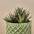 Chậu cây cảnh họa tiết hình học 3D - Mẫu Plant Pot #1 - Thumbnail 3