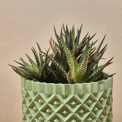 Chậu cây cảnh họa tiết hình học 3D - Mẫu Plant Pot #1