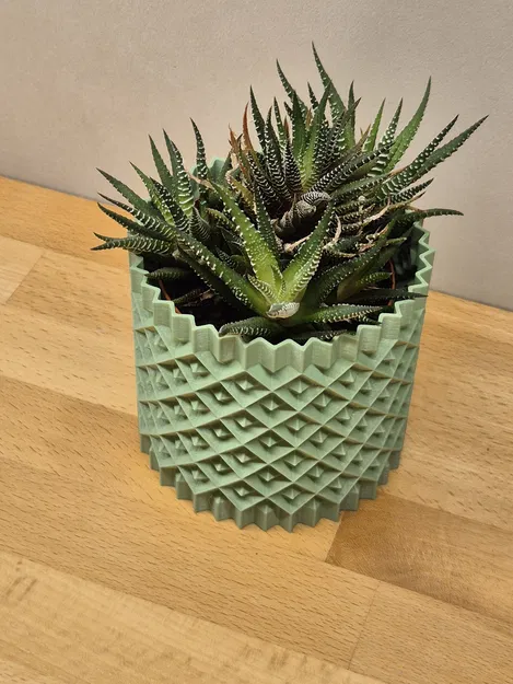 Chậu cây cảnh họa tiết hình học 3D - Mẫu Plant Pot #1 - Image 4