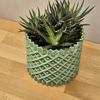 Chậu cây cảnh họa tiết hình học 3D - Mẫu Plant Pot #1
