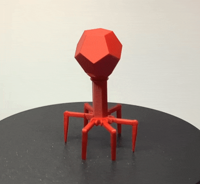 Robot Bacteriophage (Thể thực khuẩn) - Thumbnail 2