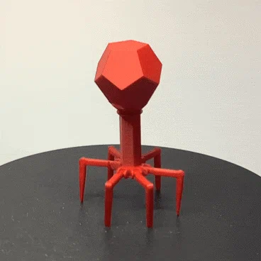 Robot Bacteriophage (Thể thực khuẩn)