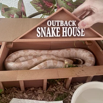 Outback Snake House: Ngôi nhà ẩn nấp rộng rãi cho rắn cưng in 3D