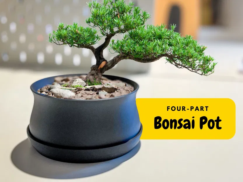 Chậu Bonsai kèm Khay hứng nước và Lưới thoát nước - Image 1