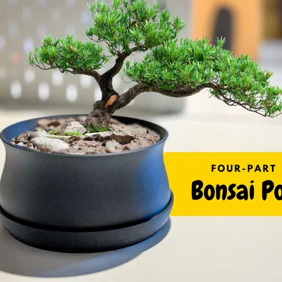 Chậu Bonsai kèm Khay hứng nước và Lưới thoát nước