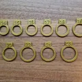 Bộ đo size nhẫn (Ring sizer) - Thumbnail 1