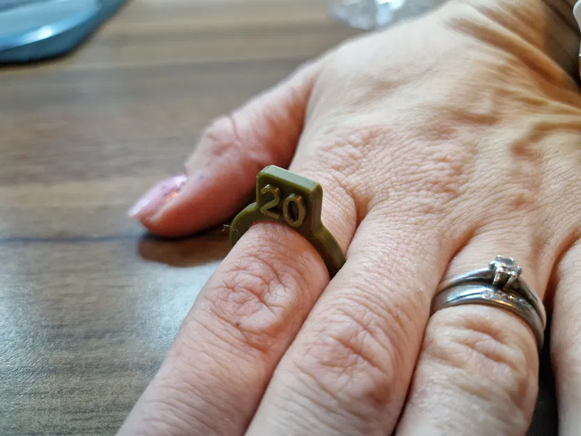 Bộ đo size nhẫn (Ring sizer) - Image 2