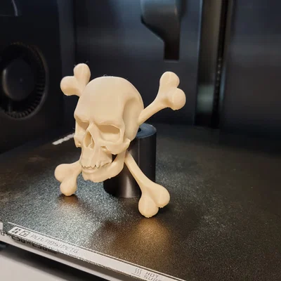Mô hình đầu lâu và xương chéo 3D (Jolly Roger) độc đáo