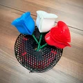Cành Hoa Hồng Valentine - chế độ Vase mode - Thumbnail 2