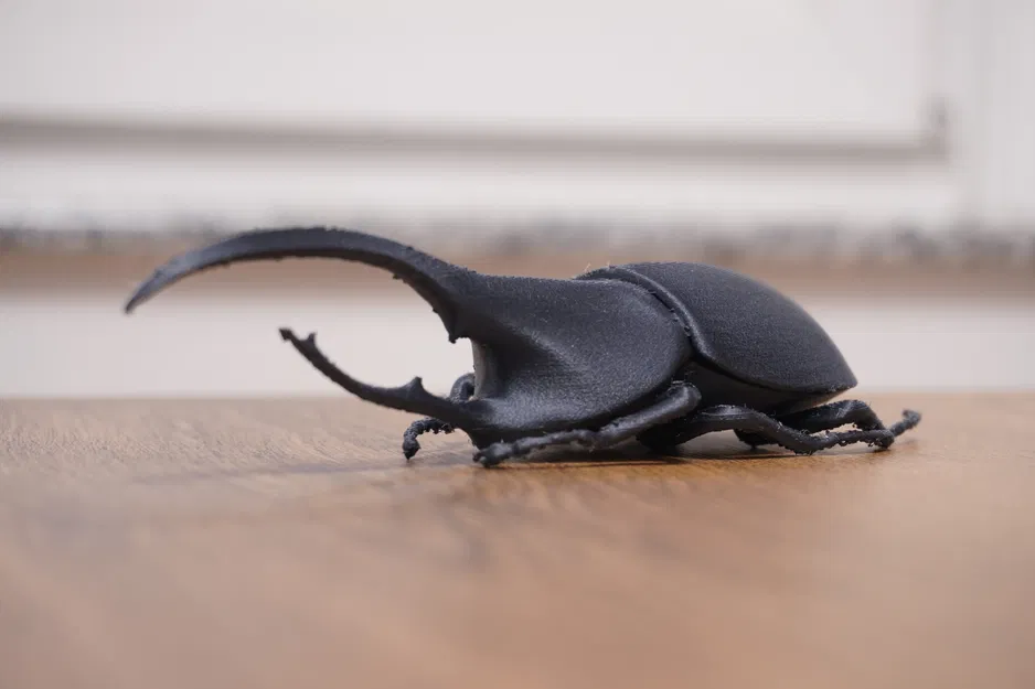 Mô hình Beetle Hercules - Image 1