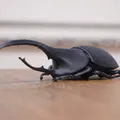 Mô hình Beetle Hercules - Thumbnail 1