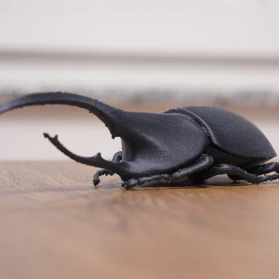 Mô hình Beetle Hercules