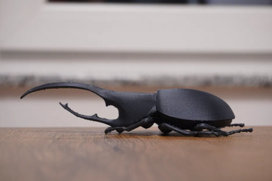 Mô hình Beetle Hercules - Image 2