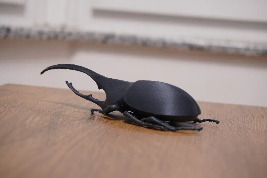 Mô hình Beetle Hercules - Image 3