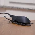 Mô hình Beetle Hercules - Thumbnail 3