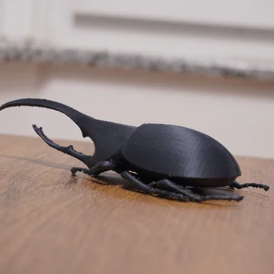 Mô hình Beetle Hercules