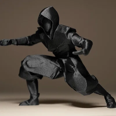 Mô hình Shadow Ninja Warrior