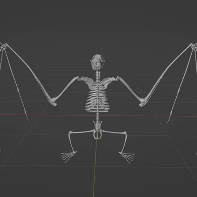 Mô hình bộ xương Dơi quạ (Flying fox skeleton)