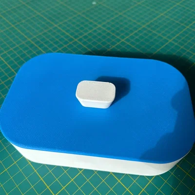 Hộp Đựng Trang Sức (Jewelry Box) In 3D Tiện Ích Và Gọn Gàng