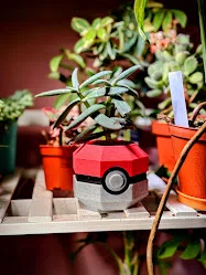 Chậu cây Pokeball phong cách Lowpoly - Image 7