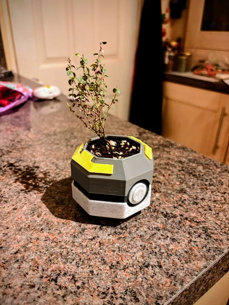 Chậu cây Pokeball phong cách Lowpoly - Image 10