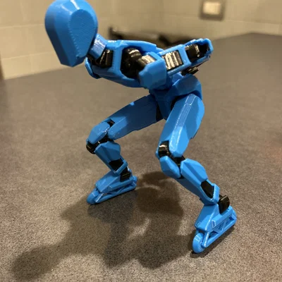 Giày trượt Inline Skates cho Dummy 13