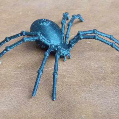 Mô hình Nhện Đen (Black Spider)
