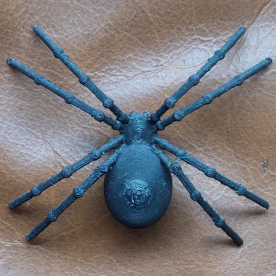 Mô hình Nhện Đen (Black Spider)