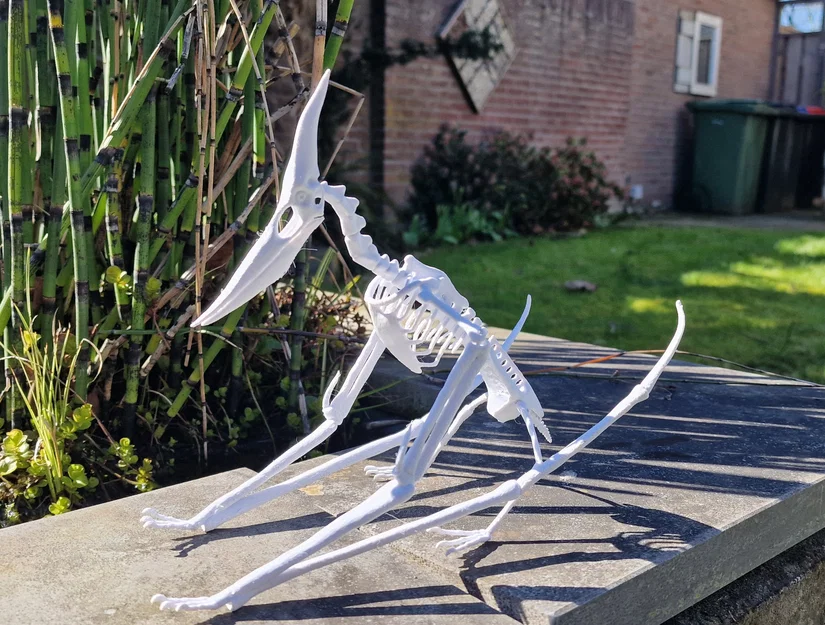 Mô hình 3D bộ xương khủng long bay Pteranodon độc đáo - Image 1