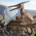 Mô hình 3D bộ xương khủng long bay Pteranodon độc đáo - Thumbnail 2