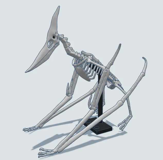 Mô hình 3D bộ xương khủng long bay Pteranodon độc đáo - Image 4