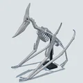 Mô hình 3D bộ xương khủng long bay Pteranodon độc đáo - Thumbnail 4