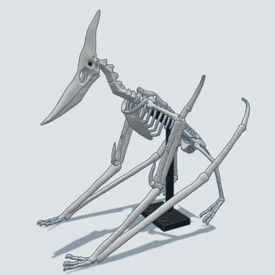 Mô hình 3D bộ xương khủng long bay Pteranodon độc đáo