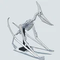 Mô hình 3D bộ xương khủng long bay Pteranodon độc đáo - Thumbnail 5