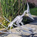 Mô hình 3D bộ xương khủng long bay Pteranodon độc đáo - Thumbnail 6