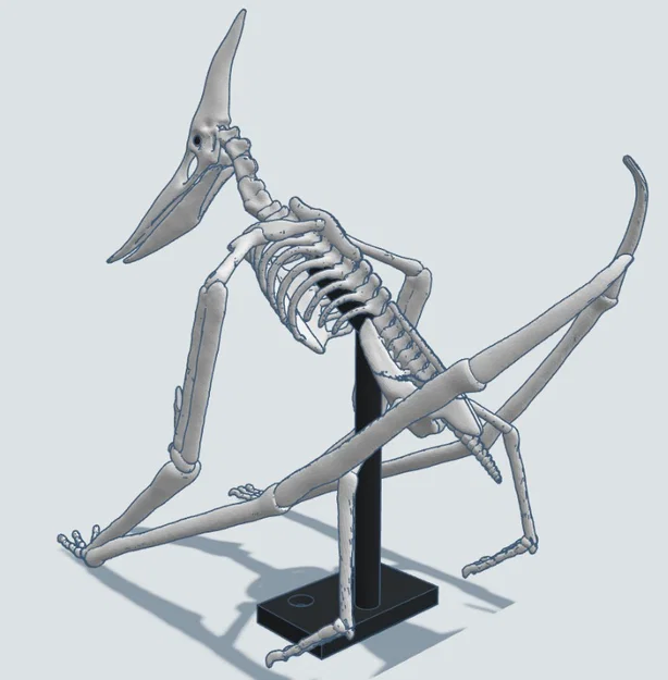 Mô hình 3D bộ xương khủng long bay Pteranodon độc đáo - Image 9