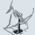 Mô hình 3D bộ xương khủng long bay Pteranodon độc đáo - Thumbnail 9