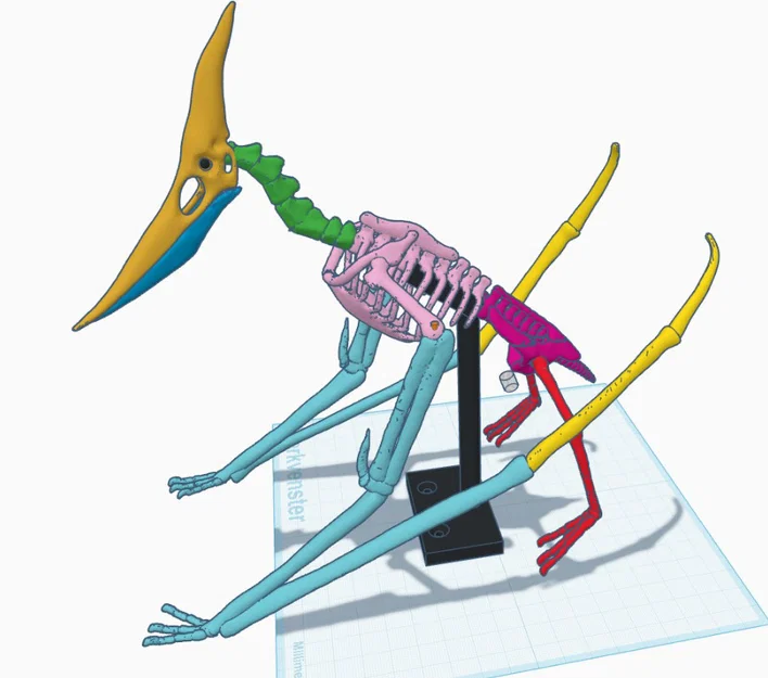 Mô hình 3D bộ xương khủng long bay Pteranodon độc đáo - Image 11