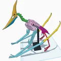 Mô hình 3D bộ xương khủng long bay Pteranodon độc đáo - Thumbnail 11